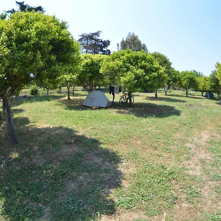 Bodrum Ecofarm مكان تخييم *
