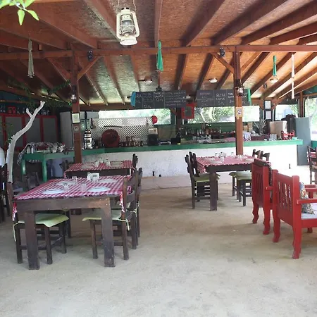 Kamp alanı Bodrum Ecofarm Turgutreis