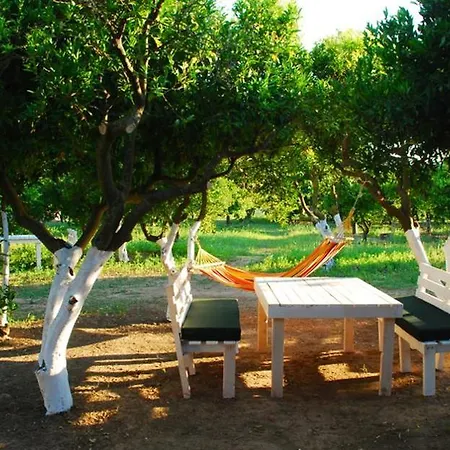 Bodrum Ecofarm Kamp alanı *
