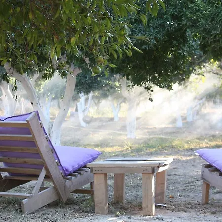 Bodrum Ecofarm *