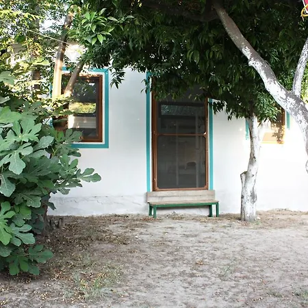 Bodrum Ecofarm Kamp alanı *