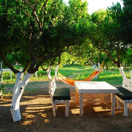 אתר קמפינג Bodrum Ecofarm