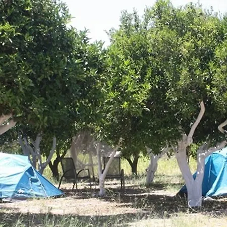 Bodrum Ecofarm * טורגוטריס